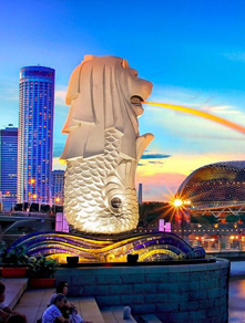 Singapore Tour