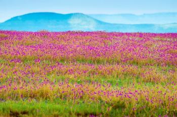 One Day Tour from Pune