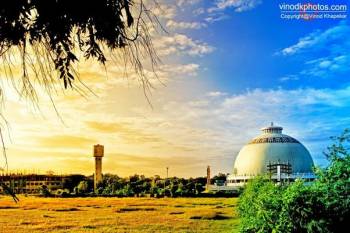 7 Days Anandvan - Hemalkasa - Somnath - Tadoba National Park Tour