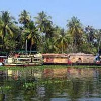 Munnar - Thekkady - Alleppey - Cochin - 5N 6 D Tour