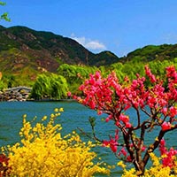 Paradise Kashmir Tou.. - Jammu - Srinagar - P.. Image