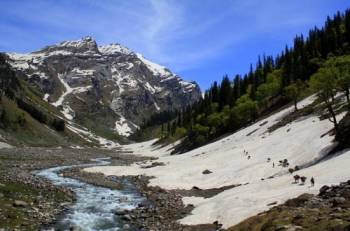 Kullu Manali Honeymoon Tour Packages