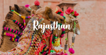 2 Nights & 3 Days Jaipur Tour from Delhi