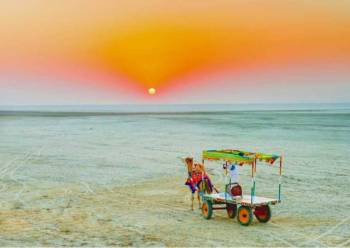Kutch - Bhuj Tour Package 2 Night - 3 Days