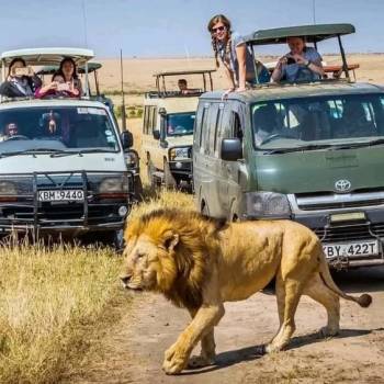 Unforgettable 10D Family Safari Adventure In Tanzania Tour