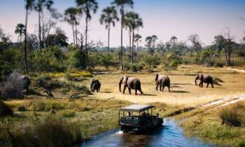2Day Safari In Tarangire And Ngorongoro Tour