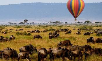 7 Days Tanzania with the Great Migration North Serengeti