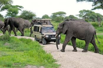 10 Days Mrembo Safari Tour
