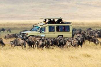 6 Days Calving Safari Tour Package